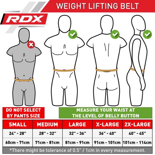 RDX腰帶尺寸表